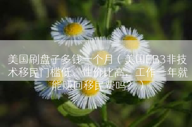 美国刷盘子多钱一个月（美国EB3非技术移民门槛低、性价比高，工作一年就能赚回移民费吗？）