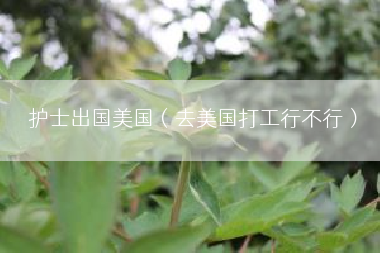 护士出国美国（去美国打工行不行）