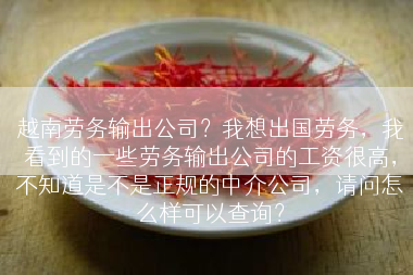 越南劳务输出公司？我想出国劳务，我看到的一些劳务输出公司的工资很高，不知道是不是正规的中介公司，请问怎么样可以查询？