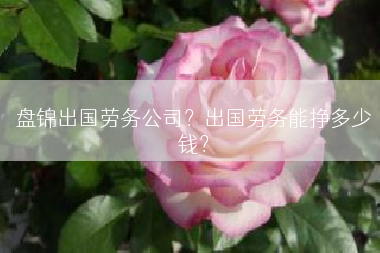 盘锦出国劳务公司？出国劳务能挣多少钱？