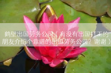 鹤壁出国劳务公司（有没有出国打工的朋友介绍个靠谱的出国劳务公司？谢谢）