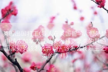 英国出国打工(我人在英国留学，但是想申请去加拿大或是澳大利亚之类的其他国家劳务该怎么弄啊？该怎么找雇主之类的？拜)