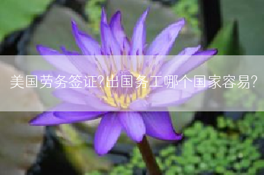 美国劳务签证?出国务工哪个国家容易?