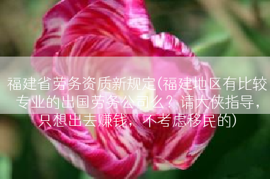 福建省劳务资质新规定(福建地区有比较专业的出国劳务公司么？请大侠指导，只想出去赚钱，不考虑移民的)