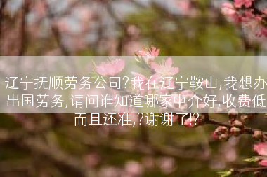 辽宁抚顺劳务公司?我在辽宁鞍山,我想办出国劳务,请问谁知道哪家中介好,收费低而且还准,?谢谢了!?