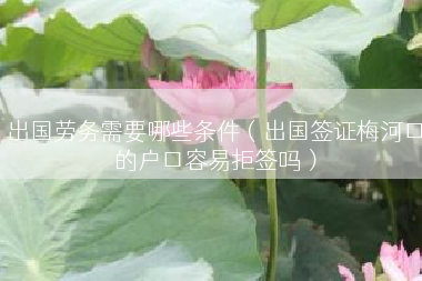 出国劳务需要哪些条件（出国签证梅河口的户口容易拒签吗）