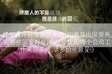 辽宁省评标专家劳务费(如果是出国劳务,去哪些国家好些,在辽宁沈阳哪个公司工作来源多些,请多给些意见!)