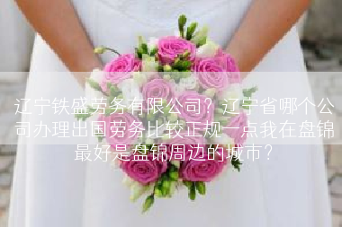 辽宁铁盛劳务有限公司？辽宁省哪个公司办理出国劳务比较正规一点我在盘锦最好是盘锦周边的城市？