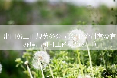出国务工正规劳务公司(河北沧州有没有办理出国打工的外贸公司)