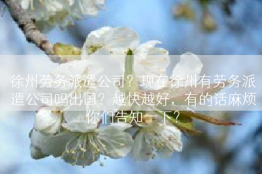 徐州劳务派遣公司？现在徐州有劳务派遣公司吗出国？越快越好，有的话麻烦你们告知一下？