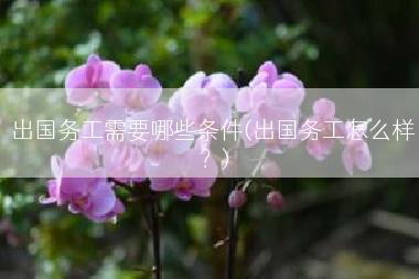 出国务工需要哪些条件(出国务工怎么样？)