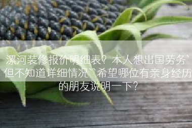 漯河装修报价明细表？本人想出国劳务`但不知道详细情况``希望哪位有亲身经历的朋友说明一下？