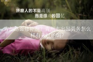 青州路面修补剂？青州市出国劳务怎么样有去过的吗？