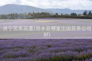 济宁劳务派遣(泗水县哪家出国劳务公司好)