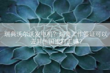 瑞典沃尔沃发电机？瑞典工作签证可以去其他国家打工嘛？