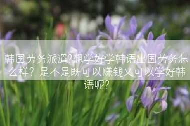 韩国劳务派遣?想学好学韩语出国劳务怎么样？是不是既可以赚钱又可以学好韩语呢?