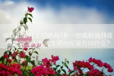 迪拜出国打工招聘网?有一部揭秘迪拜底层建筑工人真实生活的纪录片叫什么?