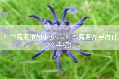韩国劳务输出中介(去韩国劳务需要办什么手续)
