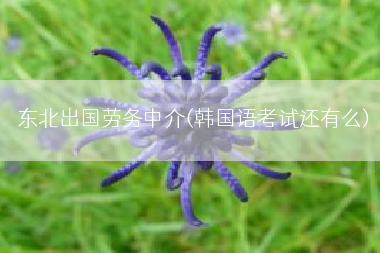 东北出国劳务中介(韩国语考试还有么)