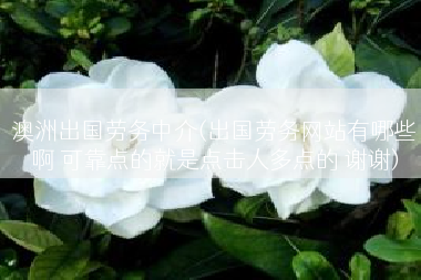 澳洲出国劳务中介(出国劳务网站有哪些啊 可靠点的就是点击人多点的 谢谢)