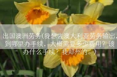 出国澳洲劳务(我想去澳大利亚劳务输出，到哪里办手续，大概需要多少费用？该办什么手续？我郑州的。)