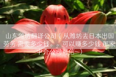 山东潍坊翻译公司（从潍坊去日本出国劳务 需要多少钱。。可以赚多少钱 那家中介公司可信~）