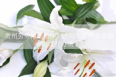 贵州劳务输出条件？沈阳市民间劳务输出试行办法？