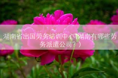 湖南省出国劳务培训中心(湖南有哪些劳务派遣公司？)