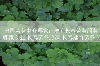 出国劳务中介哪家正规（长春劳务服务哪家专业,长春劳务派遣,长春建筑劳务）