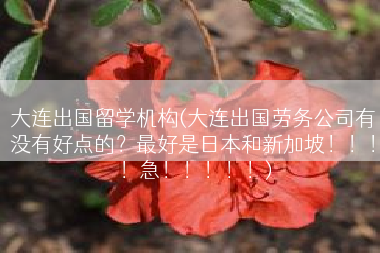 大连出国留学机构(大连出国劳务公司有没有好点的？最好是日本和新加坡！！！！急！！！！！)