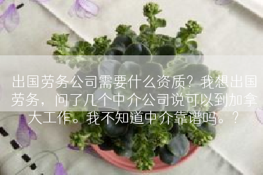 出国劳务公司需要什么资质？我想出国劳务，问了几个中介公司说可以到加拿大工作。我不知道中介靠谱吗。？