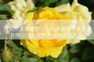 河南劳务派遣中介？河南博硕劳务服务有限公司出国劳务根本送不走人？