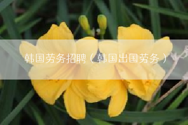 韩国劳务招聘（韩国出国劳务）