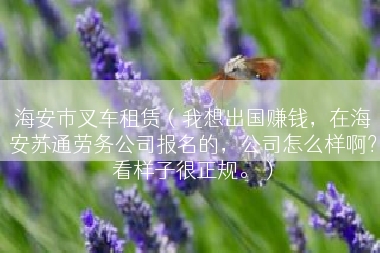 海安市叉车租赁（我想出国赚钱，在海安苏通劳务公司报名的，公司怎么样啊？看样子很正规。）