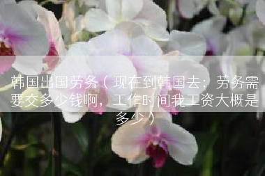 韩国出国劳务（现在到韩国去；劳务需要交多少钱啊，工作时间我工资大概是多少）