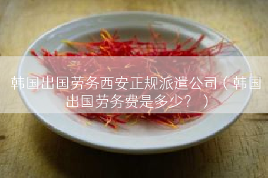 韩国出国劳务西安正规派遣公司（韩国出国劳务费是多少？）