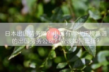 日本出国劳务网？中国有哪些正规靠谱的出国劳务公司？应该如何选择？