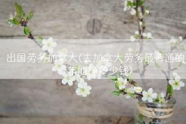出国劳务加拿大(去加拿大劳务最普通的一年能挣多少钱)