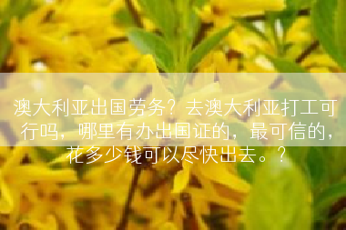 澳大利亚出国劳务？去澳大利亚打工可行吗，哪里有办出国证的，最可信的，花多少钱可以尽快出去。？