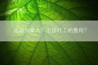 出国加拿大？出国打工的费用？