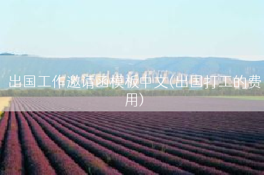 出国工作邀请函模板中文(出国打工的费用)