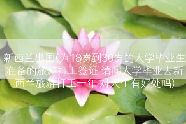 新西兰出国(为18岁到30岁的大学毕业生准备的旅游打工签证 请问大学毕业去新西兰旅游打工一年 对人生有好处吗)