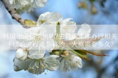 韩国出国留学机构?去韩国工作办理相关手续的流程是怎样的。大概需要多久?