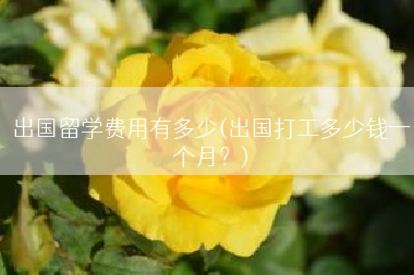 出国留学费用有多少(出国打工多少钱一个月？)