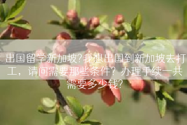 出国留学新加坡?我想出国到新加坡去打工，请问需要那些条件？办理手续一共需要多少钱?