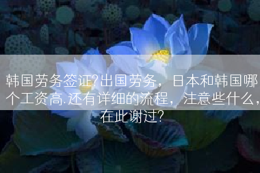 韩国劳务签证?出国劳务，日本和韩国哪个工资高.还有详细的流程，注意些什么，在此谢过?