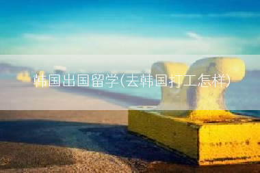 韩国出国留学(去韩国打工怎样)