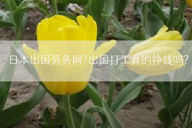 日本出国劳务网?出国打工真的挣钱吗?