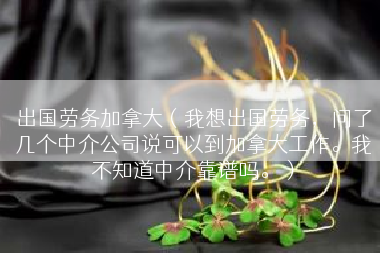 出国劳务加拿大（我想出国劳务，问了几个中介公司说可以到加拿大工作。我不知道中介靠谱吗。）