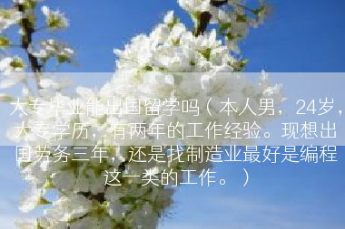 大专毕业能出国留学吗（本人男，24岁，大专学历，有两年的工作经验。现想出国劳务三年，还是找制造业最好是编程这一类的工作。）
